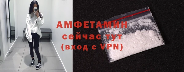 мдпв Костерёво