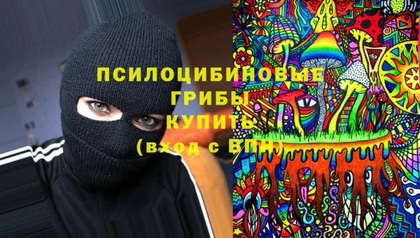 гашишное масло Краснослободск