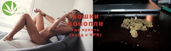 мдпв Костерёво
