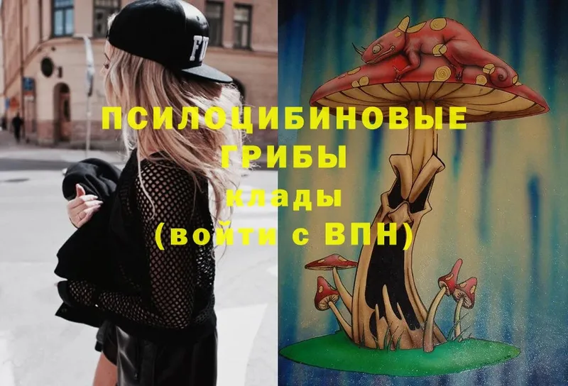 Псилоцибиновые грибы Magic Shrooms  Лиски 