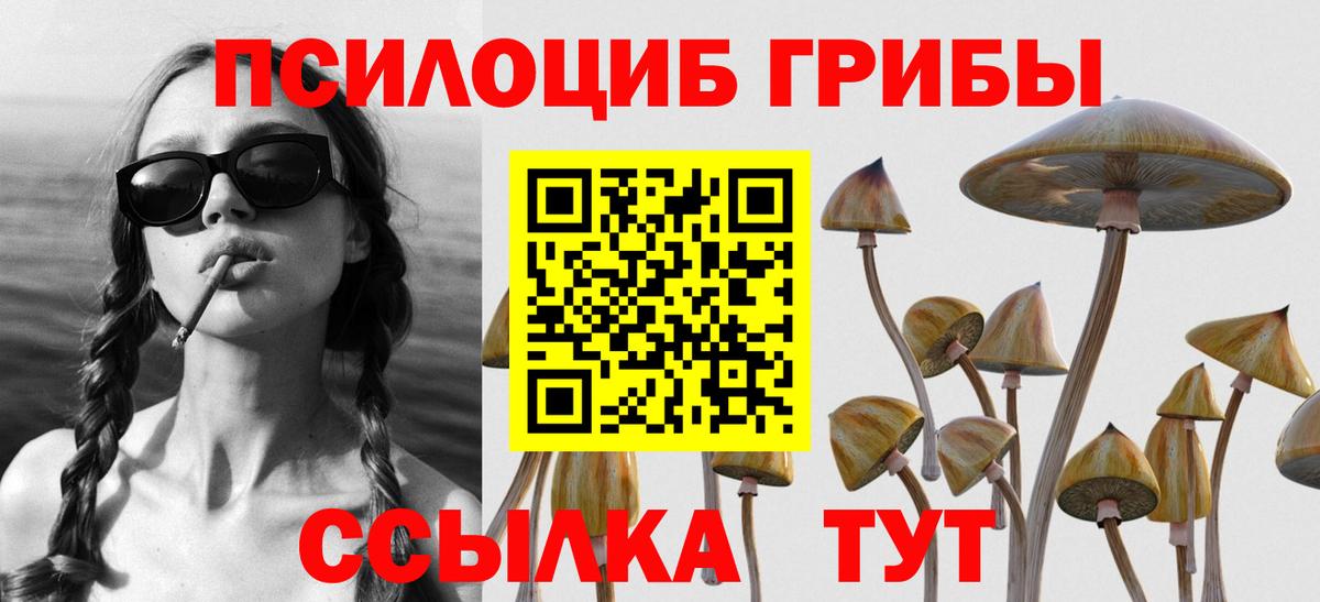 Лиски  Галлюциногенные грибы мицелий  Псилоцибиновые грибы GOLDEN TEACHER  купить наркоту  Вход с VPN 