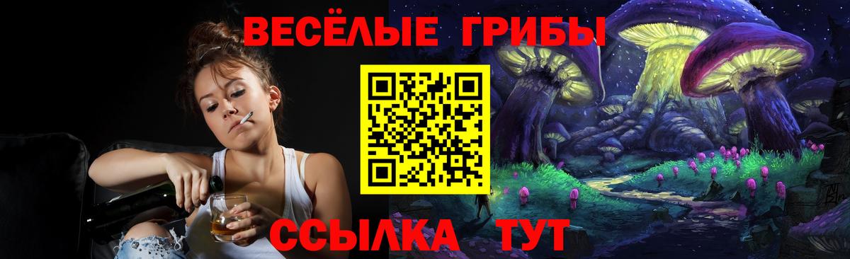 Бошки Шишки Лиски
